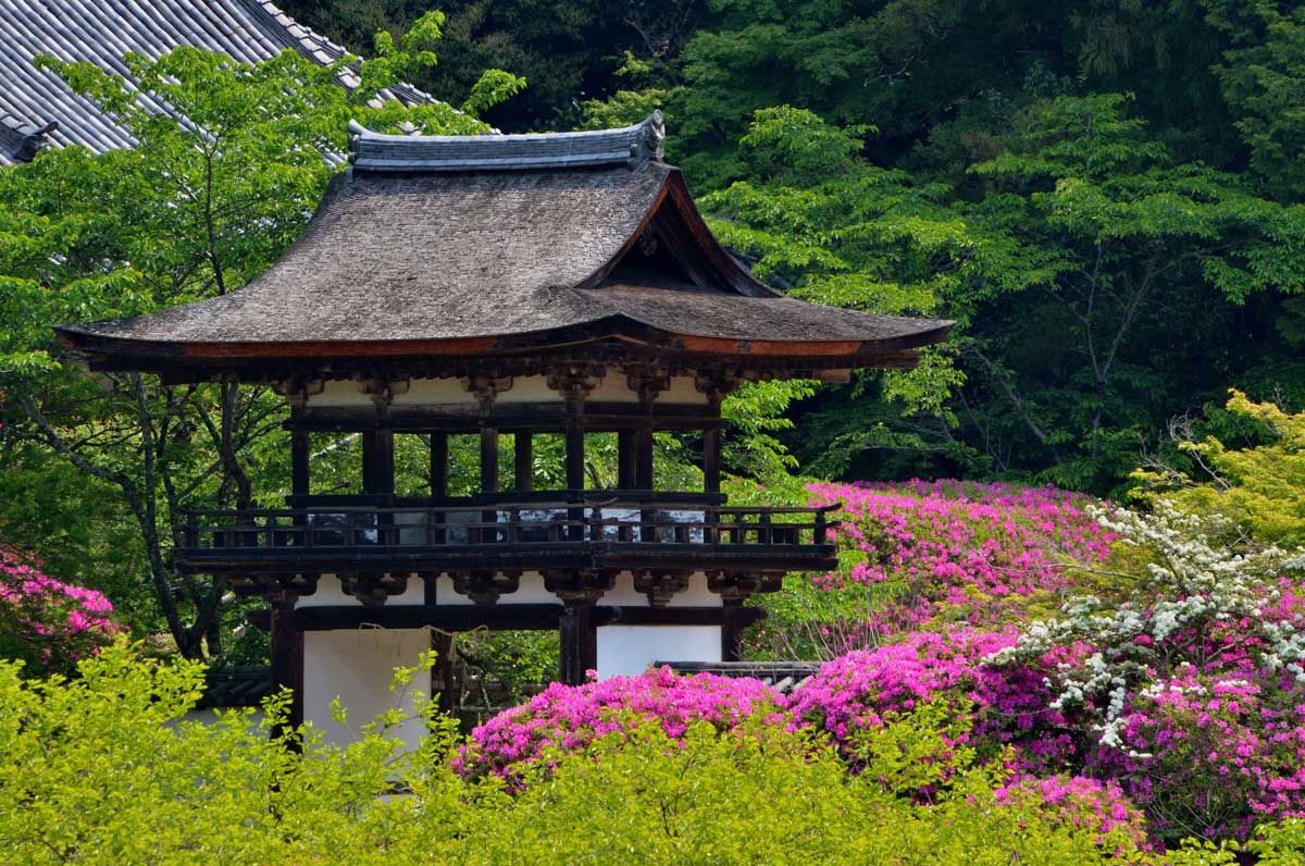 Bell Tower in May